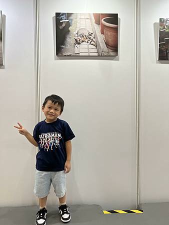 2023臺北國際喵嗚季「貓咪文博會」