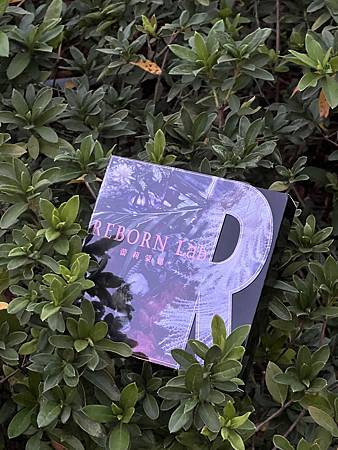 『告別帶賽人生』REBORN Lab蕾莉蒙恩　超能重生奇蹟酵