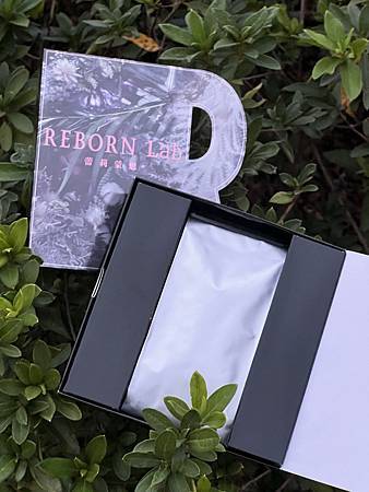 『告別帶賽人生』REBORN Lab蕾莉蒙恩　超能重生奇蹟酵