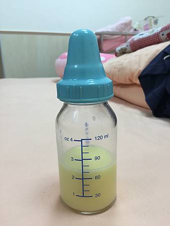 冊子健康新品牌幸孕果 / 把握黃金孕期有助胎兒腦部發育 / 