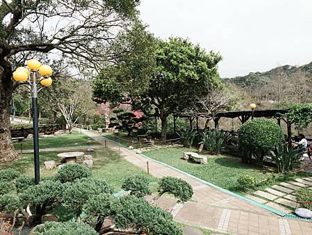 桃園龍潭 大北坑戀戀魯冰花季 / 山水緣景觀餐廳 / 親子景